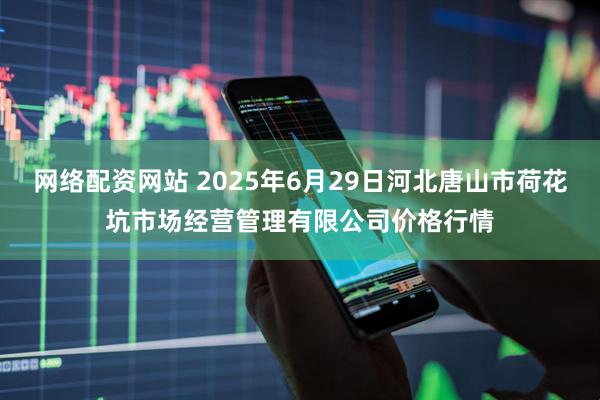 网络配资网站 2025年6月29日河北唐山市荷花坑市场经营管理有限公司价格行情