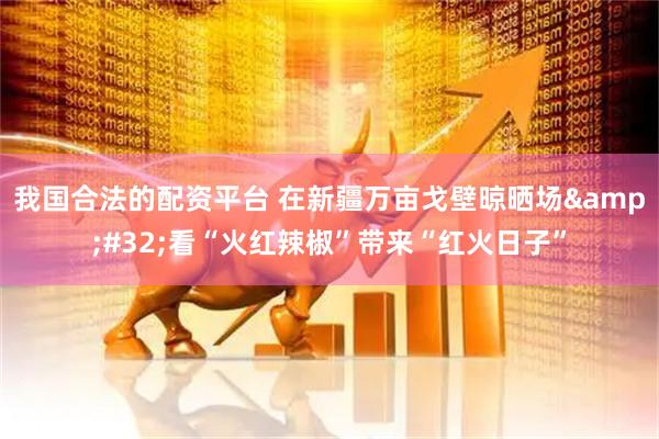 我国合法的配资平台 在新疆万亩戈壁晾晒场&#32;看“火红辣椒”带来“红火日子”
