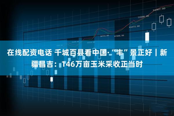 在线配资电话 千城百县看中国·“丰”景正好｜新疆昌吉：146万亩玉米采收正当时
